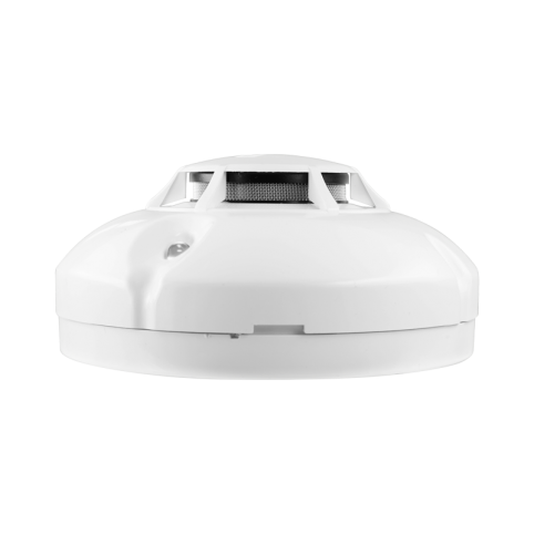 dip-31_1
