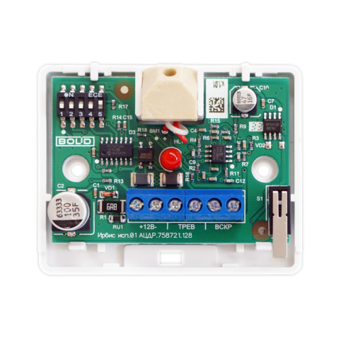 irbis-isp.01-otkrytyy
