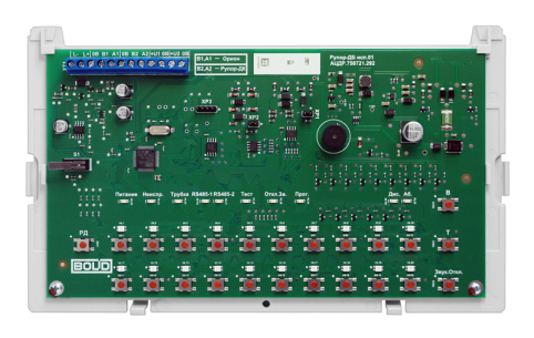 rupor_db_01_3